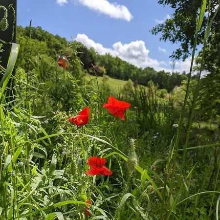 Bed & Breakfast Domaine De Fleurie *