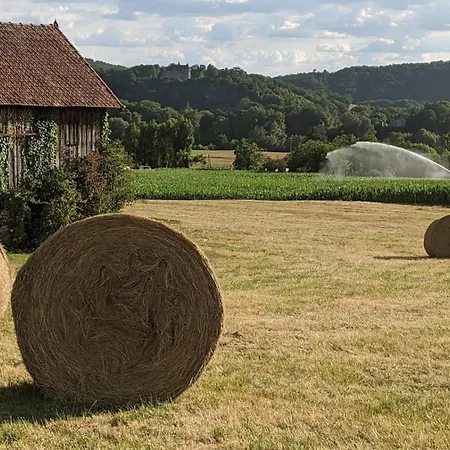 Domaine De Fleurie Bed & Breakfast