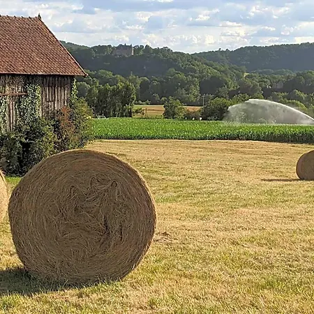 Bed & Breakfast Domaine De Fleurie