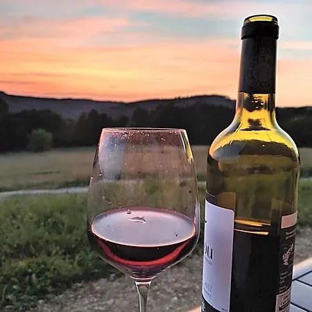Domaine De Fleurie 3* Tursac