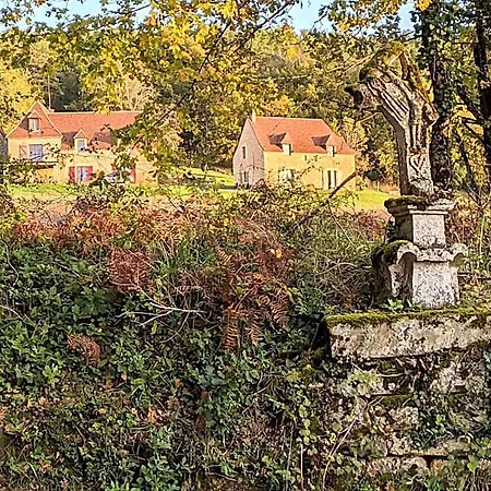 Domaine De Fleurie