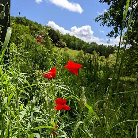 Domaine De Fleurie Bed & Breakfast 3*
